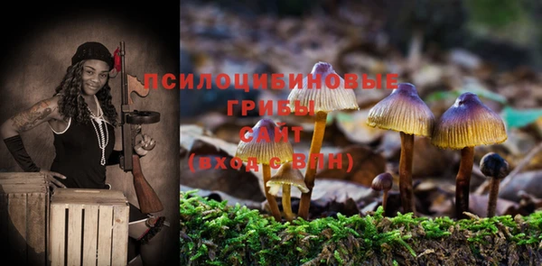MDMA Premium VHQ Бердск